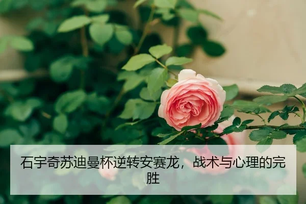 shi-yu-qi-su-di-man-bei-ni-zhuan-an-sai-long-zhan-shu-yu-xin-li-de-wan-sheng-2-811.jpg
