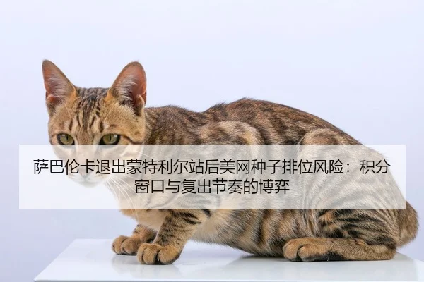 sa-ba-lun-ka-tui-chu-meng-te-li-er-zhan-hou-mei-wang-zhong-zi-pai-wei-feng-xian-ji-fen-chuang-kou-yu-fu-chu-jie-zou-de-2-230.jpg